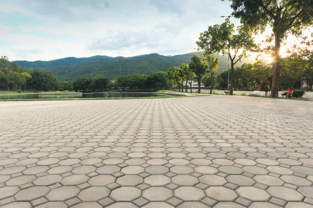 Best Driveway Paver Repair  in Rutherfordton, NC